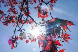 Vremea 20 aprilie - 3 mai 2020. Prognoza meteo pe regiuni, în următoarele două sptămâni