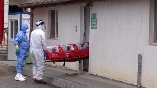 Coronavirus în România