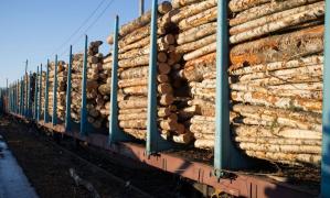 România trebuie să aibă operațional în iunie un sistem de urmărire pentru transporturile de lemn