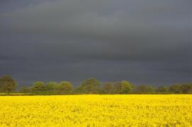 Vremea la începutul lunii mai