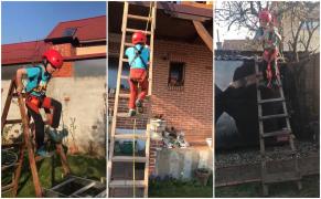 Soluția găsită de un tată din Baia Mare, împotriva plictiselii din izolare (Video)
