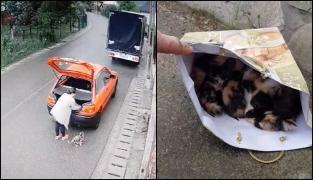 Șoferiță filmată când abandonează o pisicuță împreună cu puii ei, pe marginea unei șosele din Breaza (Video)