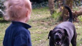 Copil mușcat de câine