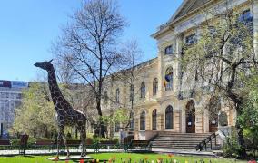 Muzeul Antipa se redeschide. Cadou pentru copii, de 1 iunie