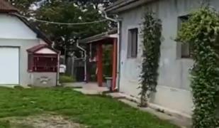 Crimă în Maramureș