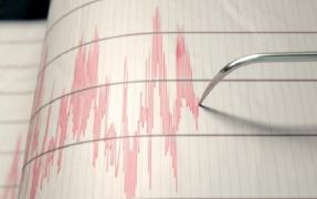 Mai multe cutremure de mică intensitate s-au produs în zona Vrancea, în ultimele zile