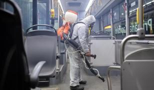 Coronavirus în România