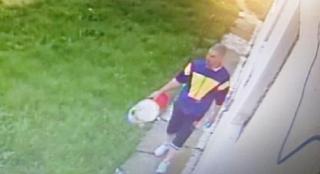 Onorel Lupu terorizează un sat din Prahova. Înfometat, golește noaptea frigiderele localnicilor