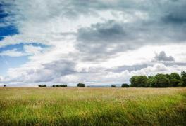 Vremea 1 - 14 iunie 2020