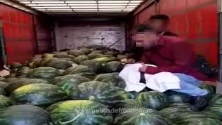 Pakistanezii intenționau să ajungă în Germania