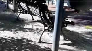 Românul mort avea 43 de ani