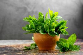 Schimbări aduse din 15 iunie în industria tutunului