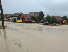 Inundații istorice care au loc o dată la 200 de ani pe râul Timiş