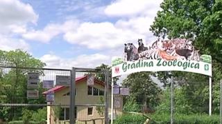 Intrarea în Grădina Zoologică din Galați