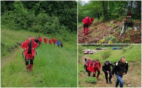 Maramureșean plecat după ciuperci, dispărut de 24 de ore. Omul este căutat de zece salvamontiști