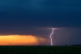 Cod portocaliu de vreme rea