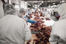 Românii care munceau la abatorul din Germania plângeau noaptea în somn, susţine un fost angajat