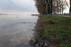 Un tânăr de 28 de ani și-a pus capăt zilelor după ce s-a legat și s-a aruncat în râul Moldova, în fața soției