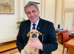 Anunţ important al ministrului Vela, despre înfiinţarea Poliţiei Animalelor