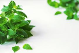 Ce schimbări aduce luna iunie pentru amatorii țigărilor mentolate