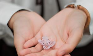 Tratamentul mâinilor frumoase făcut la tine acasă