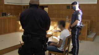 Româncă în Austria