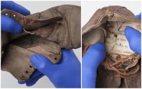 Notițele descoperite în pantoful unui copil care a murit în infernul de la Auschwitz