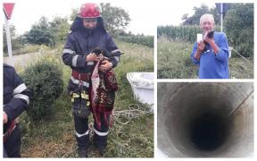 Pisică salvată cu pătura dintr-o fântână din Botoșani