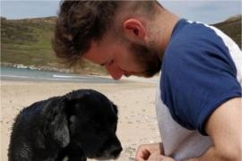 Tânărul care a intervenit pentru a salva câinele a stat mai multe zile în comă, din cauza loviturilor încasate