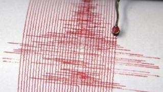 Cutremur în România. Seismul s-a produs în Vrancea și a avut magnitudinea de 3,4 pe Richer