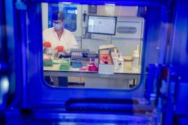 Bilant infectati coronavirus în Romania, 18 august 2020