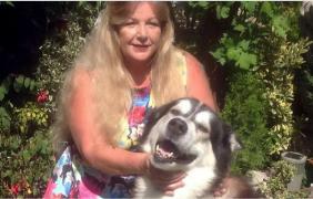 Câinele a fost descoperit cu plămânii plini de lichid, la un control amănunțit