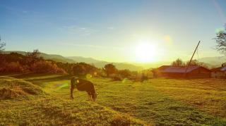 Prognoza meteo pentru septembrie. Cum va fi vremea în prima lună de toamnă
