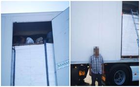 Migranți înghesuiți printre cutii cu pește, în camionul unui șofer turc, la granița României cu Ungaria