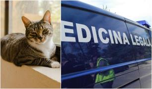 Accident stupid la Timişoara