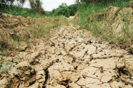 Dispar râuri din Moldova, Dobrogea și Transilvania, din cauza secetei