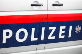 Zidar român în Austria, condamnat pentru că circula cu permisul auto al vecinului său din România