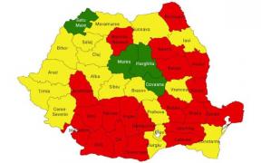 PSD are mai multe consilii județene ca PNL