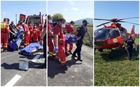 Bărbat în stare gravă, mușcat de urs, în zona Stupinii Prejmerului