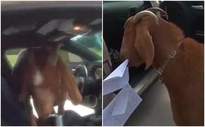 O capră s-a urcat în mașina de Poliție