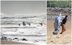 Tânără infectată cu noul coronavirus, luată în cătușe de pe o plajă din Spania