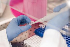 Bilanț coronavirus în România, 11 ianuarie: 1.987 cazuri și 71 decese, în ultimele 24 de ore