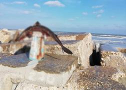 Imagini înfiorătoare surprinse în Mamaia. Cadavrul unui rechin a apărut pe digul de la intrare în staţiune