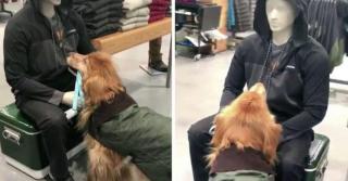 Sporty în faţa manechinului fără viaţă