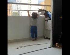 O pisică îndepărtează un bebeluș de lângă balustrada unui balcon