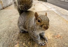 Incidentele au avut loc în Queens, New York