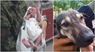 Bebeluş abandonat într-un prosop, printre gunoaie, salvat de un căţeluş, în Filipine. Animalul "a cerut" ajutorul unui motociclist