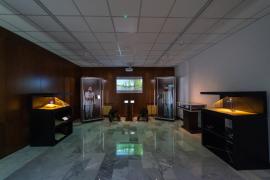 Nicolae Bălcescu a prins viață într-o hologramă în mărime naturală, la Sibiu (p)