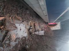 Tren de călători deraiat în judeţul Vâlcea