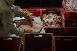 Experienţa traumatizantă a unui român într-o fermă de carne din Olanda. ”Totul a fost diferit de ceea ce mi-au spus ei prin telefon”